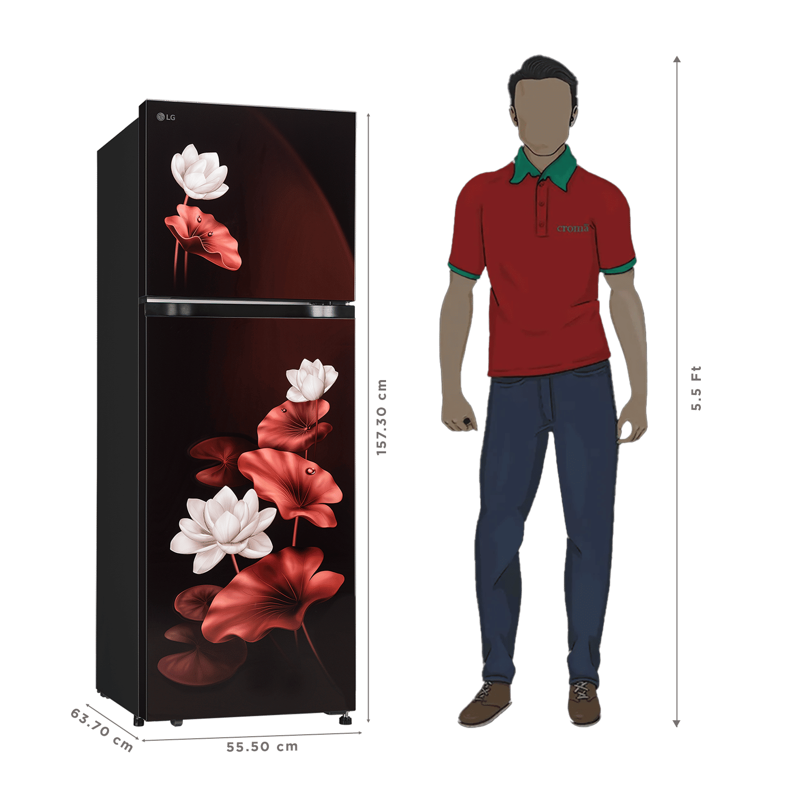 LG 251 Litres 2 Star Frost Free Double Door Convertible Refrigerator with Express Freeze (GLT2526XWSL, Scarlet Lotus) (2026 Model) LG 251 Litres 2 Star Frost Free Double Door Convertible Refrigerator with Express Freeze (GLT2526XWSL, Scarlet Lotus) (2026 Model)_3