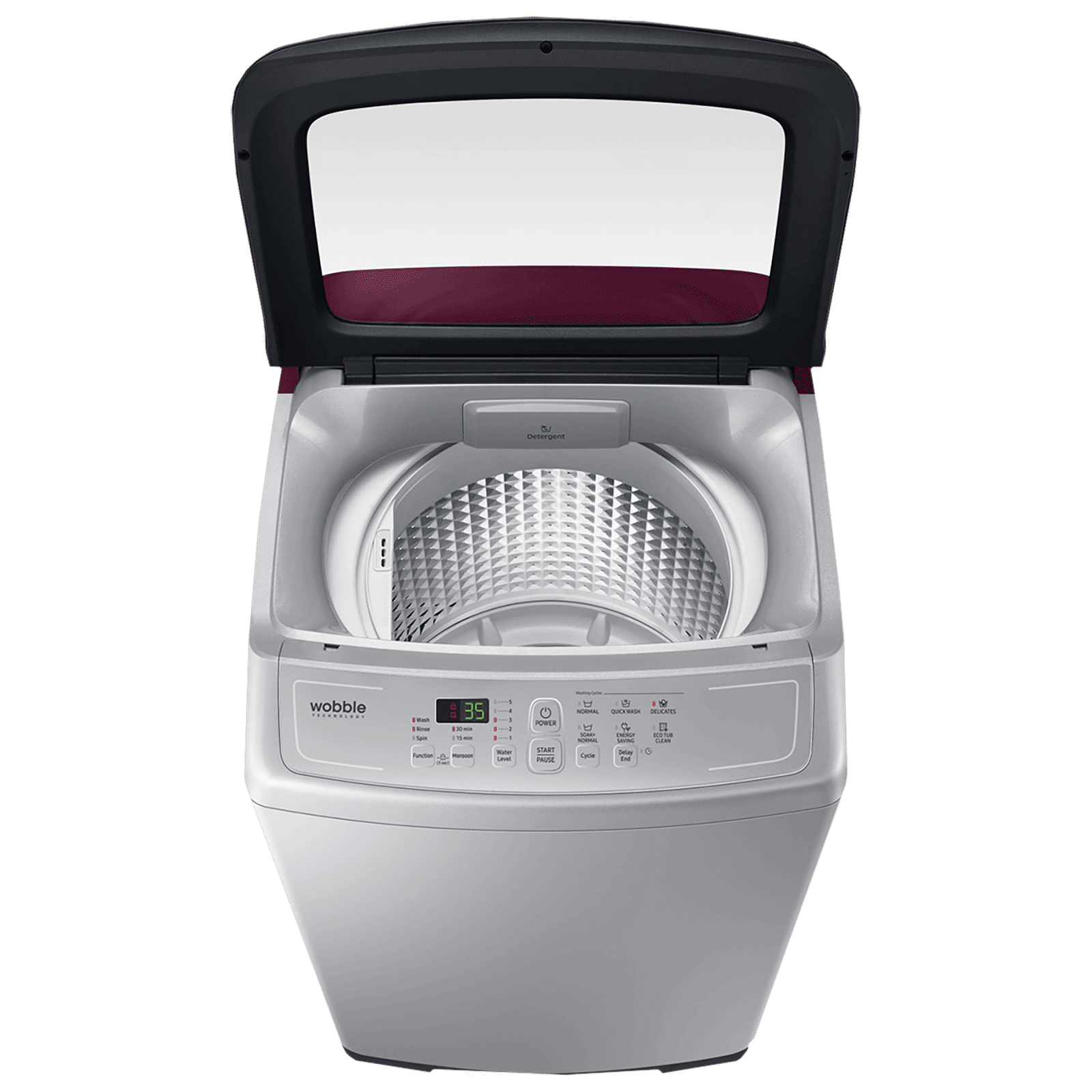 SAMSUNG 6.5 kg Fully Automatic Top Load Washing Machine (WA65A4022FS/TL, Magic Filter, Imperial Silver)_9