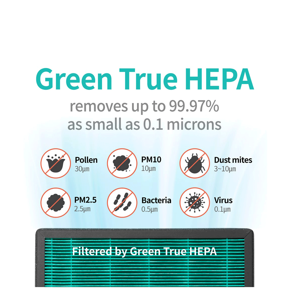 coway HEPA Filter Technology Air Purifier (Washable Pre-Filter, AirMega 150, White)_9