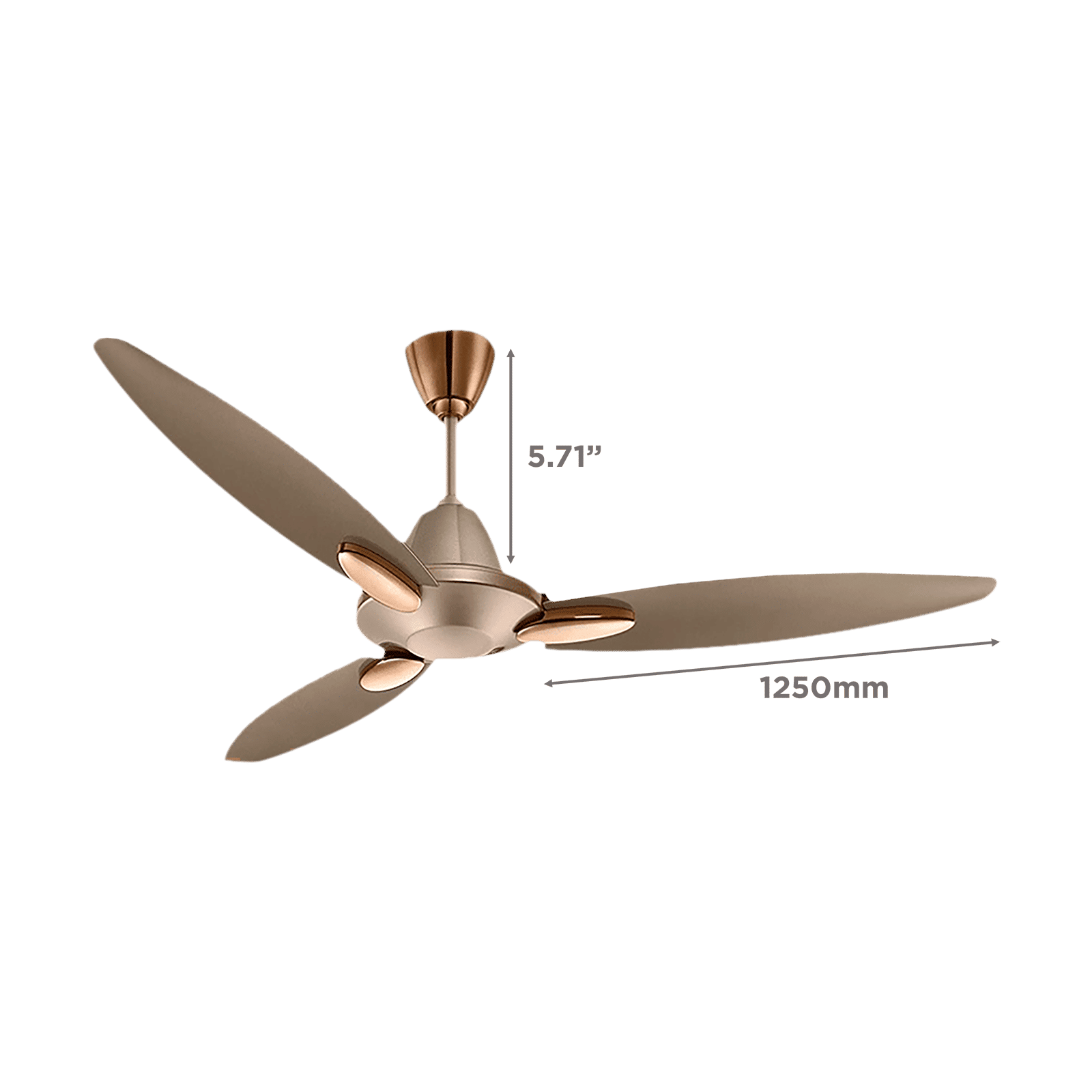 USHA Bloom Daffodil 1 Star 1250mm 3 Blade Electroplated Finish Ceiling Fan (Dust Resistant, Golden & Brown)_2