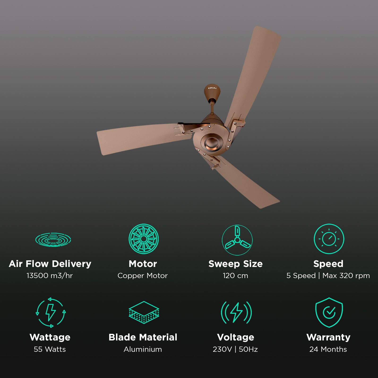 BAJAJ Euro Prime 1 Star 1200mm 3 Blade Anti Bacterial Ceiling Fan (Dual Tone Trims, Brown & Bronze)_3