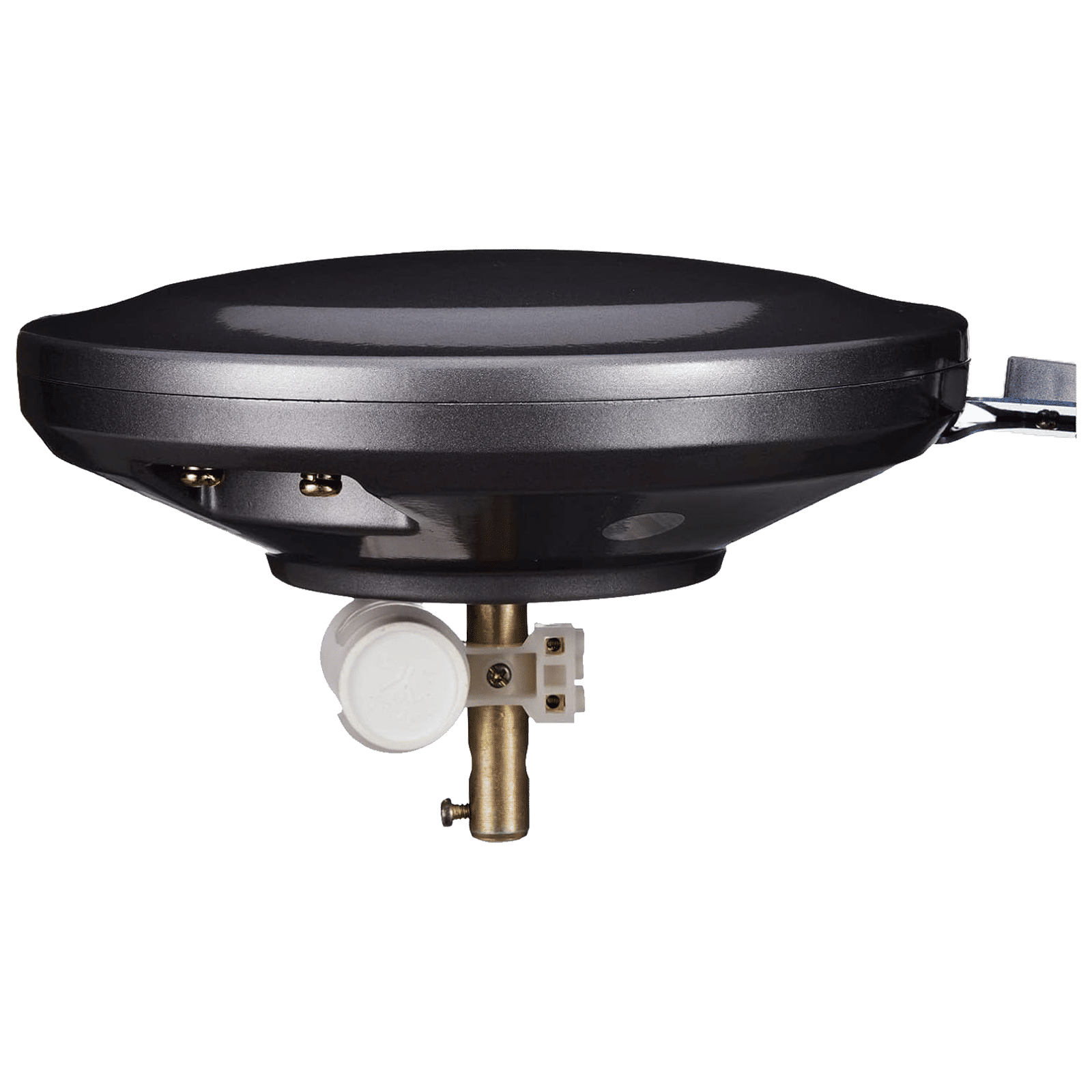 USHA Bloom Magnolia 1250mm 3 Blade Copper Motor Ceiling Fan (Dust Resistant, Sparkle Grey and Blue) USHA Bloom Magnolia 1250mm 3 Blade Copper Motor Ceiling Fan (Dust Resistant, Sparkle Grey and Blue)_5