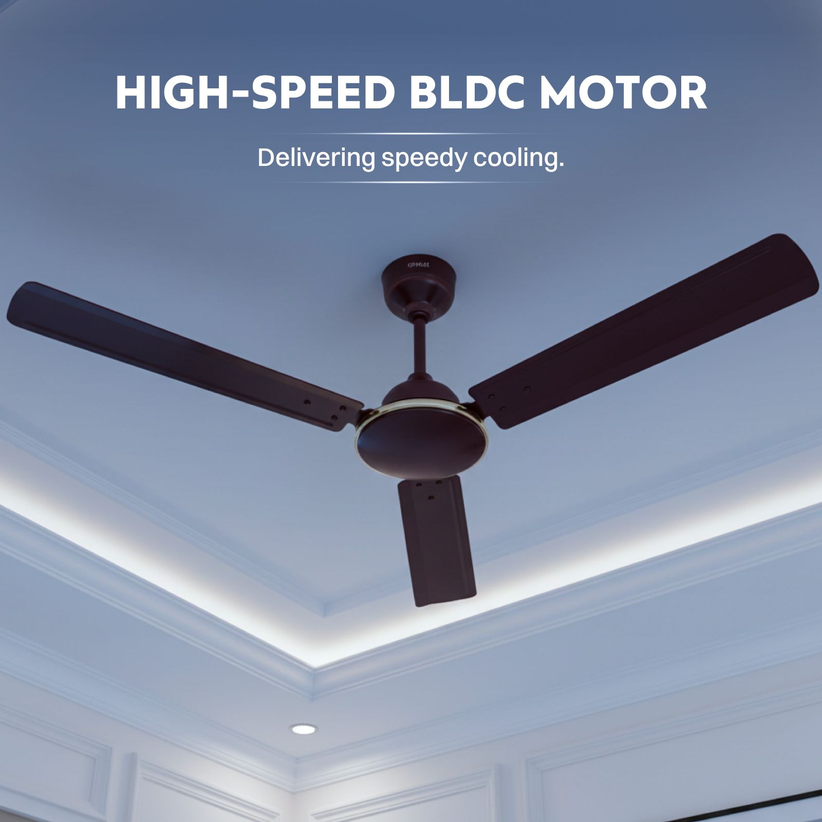 Croma 5 Star 1200mm 3 Blade BLDC Motor Ceiling Fan with Remote (Sleep Function, Brown) Croma 5 Star 1200mm 3 Blade BLDC Motor Ceiling Fan with Remote (Sleep Function, Brown)_4