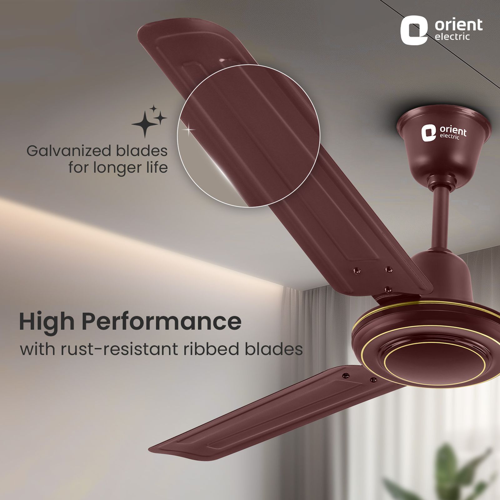 Orient APEX FX 1 Star 1200mm 3 Blade Double Ball Bearing Technology Ceiling Fan (Rust Resistant, Brown) Orient APEX FX 1 Star 1200mm 3 Blade Double Ball Bearing Technology Ceiling Fan (Rust Resistant, Brown)_6