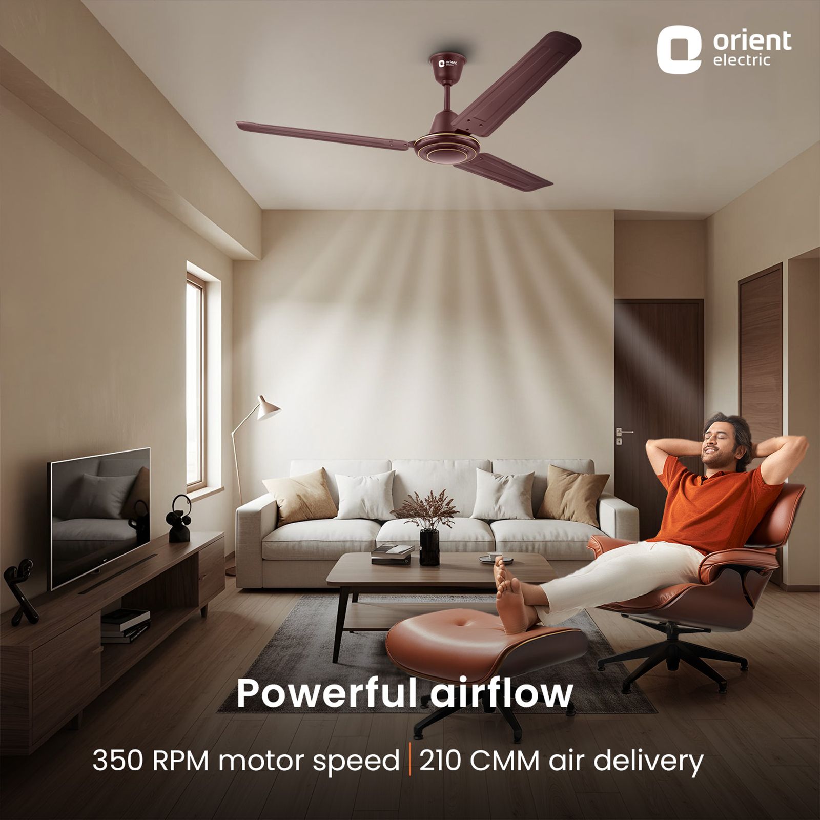 Orient APEX FX 1 Star 1200mm 3 Blade Double Ball Bearing Technology Ceiling Fan (Rust Resistant, Brown) Orient APEX FX 1 Star 1200mm 3 Blade Double Ball Bearing Technology Ceiling Fan (Rust Resistant, Brown)_7