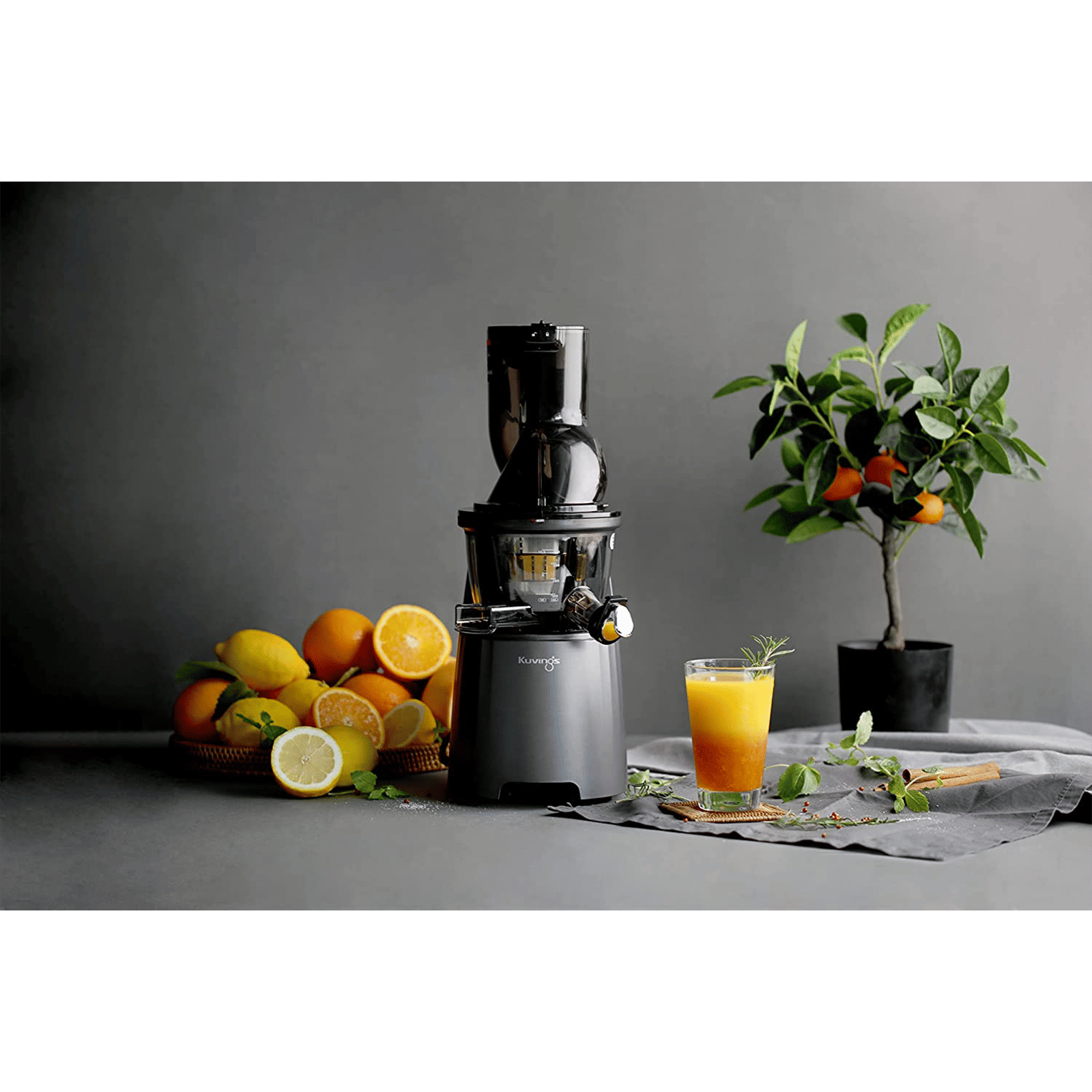 Kuvings EVO810 240 Watt 1 Jar Cold Press Slow Juicer (50 RPM, 3-in-1 Multi Function, Black) Kuvings EVO810 240 Watt 1 Jar Cold Press Slow Juicer (50 RPM, 3-in-1 Multi Function, Black)_6