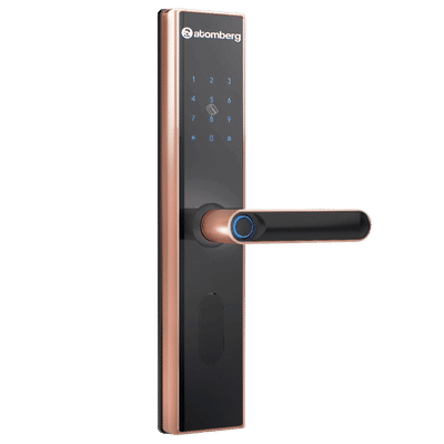 atomberg SL1 Digital Smart Lock (6 Ways Unlocking, FG0567, Rose Gold)