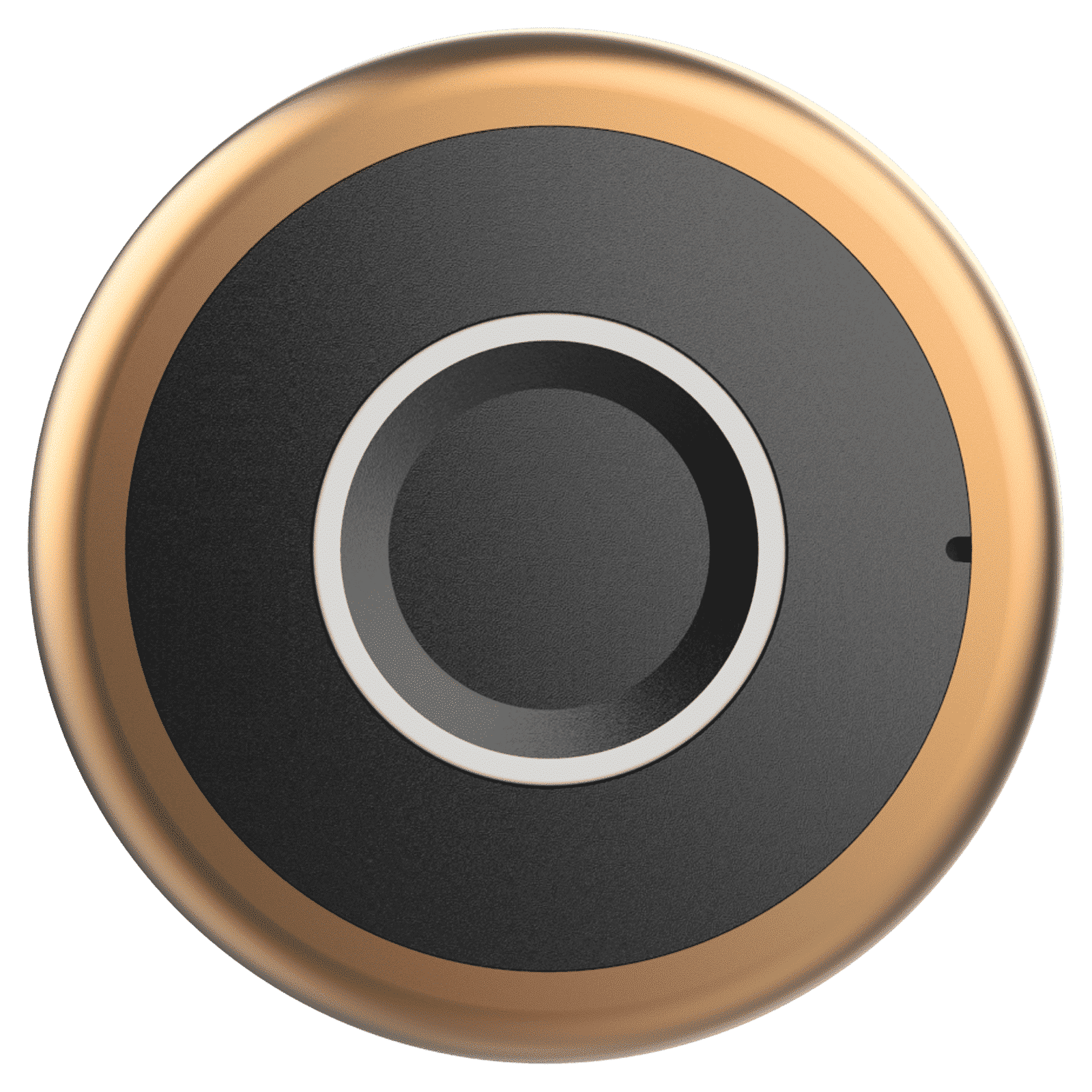 Yale YLDRPC Digital Smart Lock (LED Light & Sound Indicator, Rose Gold)_1