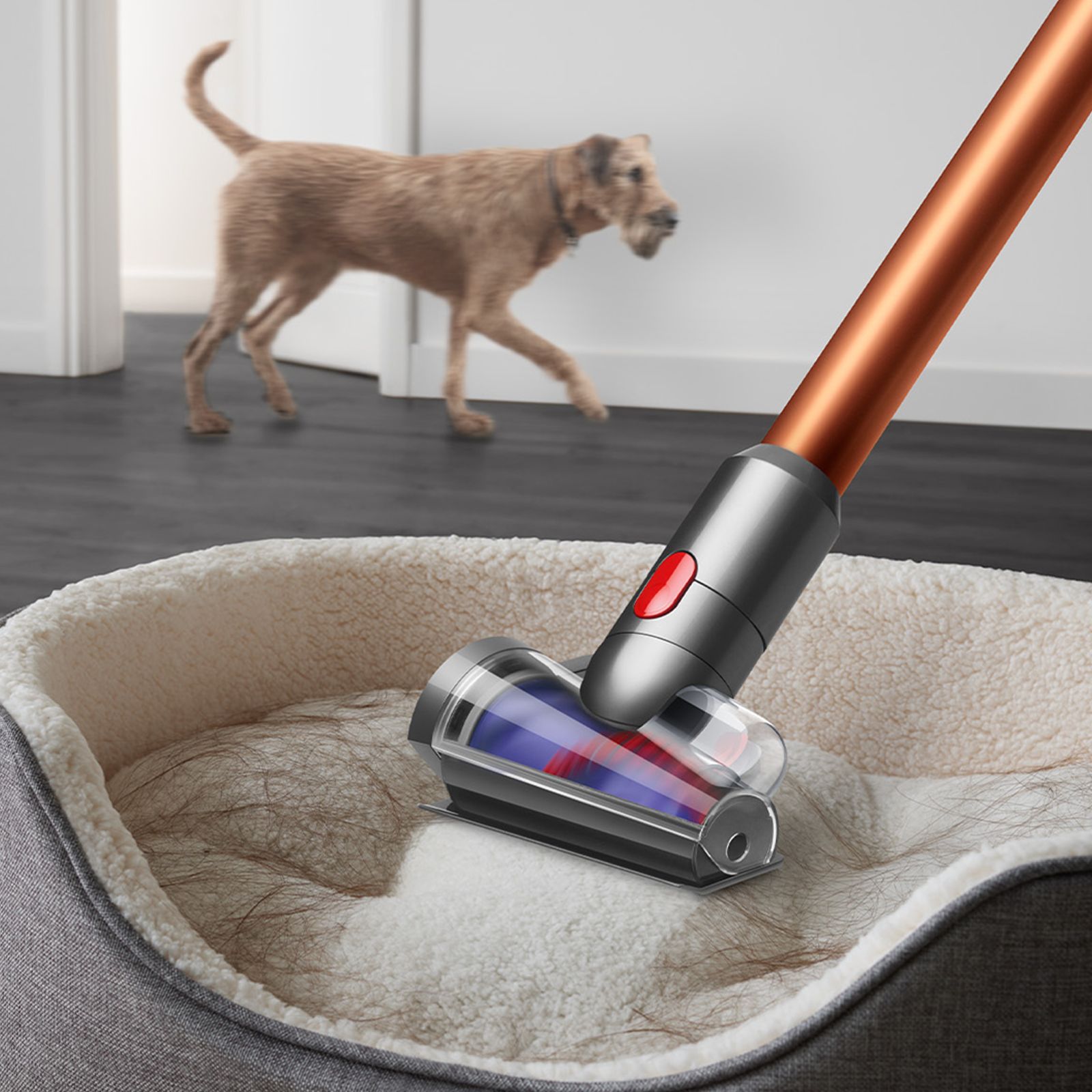 dyson V15 Detect Extra 230 Watts Portable Vacuum Cleaner (0.77 Litre, 436193-01, Prussian Blue/Bright Copper) dyson V15 Detect Extra 230 Watts Portable Vacuum Cleaner (0.77 Litre, 436193-01, Prussian Blue/Bright Copper)_2