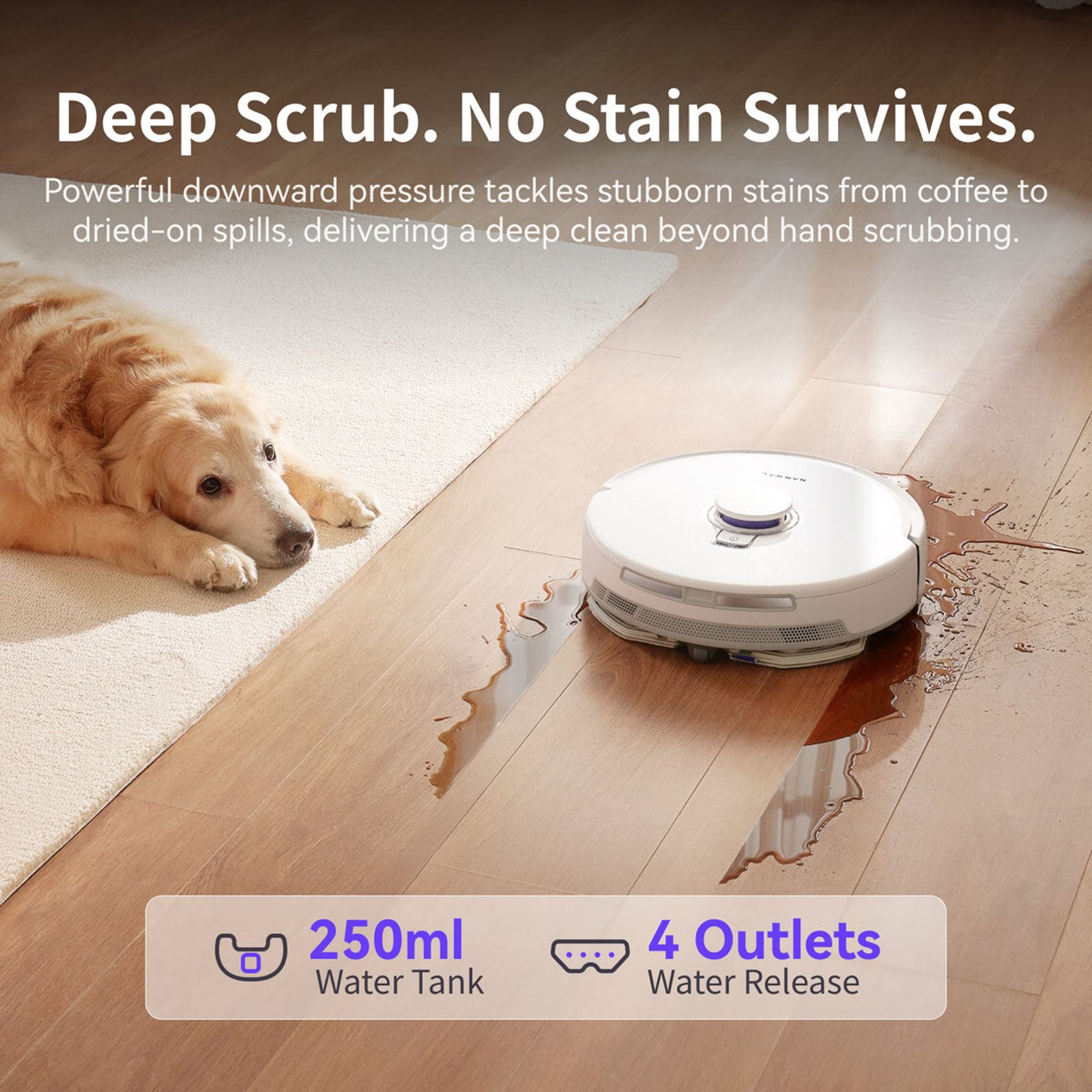 NARWAL Freo X20 Plus Robotic Vacuum Cleaner & Mop with Tri Laser Detection (Zero-Tangle Technology, White)_4