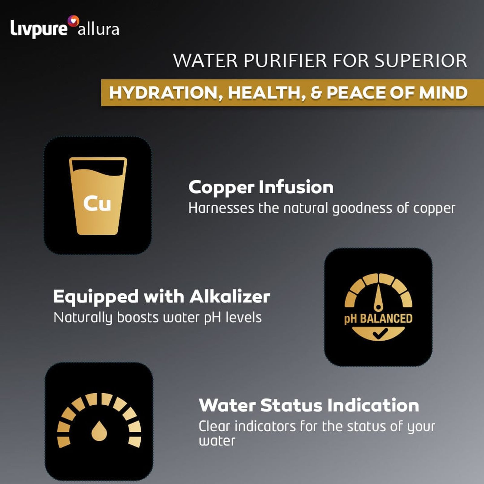 Livpure Allura Premia 7L RO + UV + UF + Alkaline Water Purifier with Super Sediment Filter (Black) Livpure Allura Premia 7L RO + UV + UF + Alkaline Water Purifier with Super Sediment Filter (Black)_6