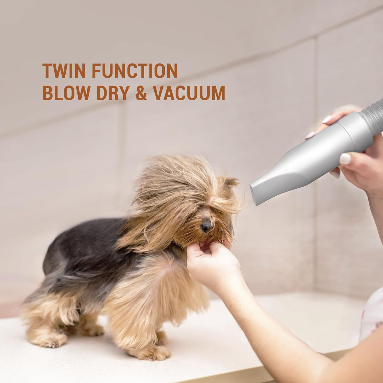 EUREKA FORBES Buddy Corded Pet Grooming Kit with 5 Accessories (Adjustable Suction, White) EUREKA FORBES Buddy Corded Pet Grooming Kit with 5 Accessories (Adjustable Suction, White)_6