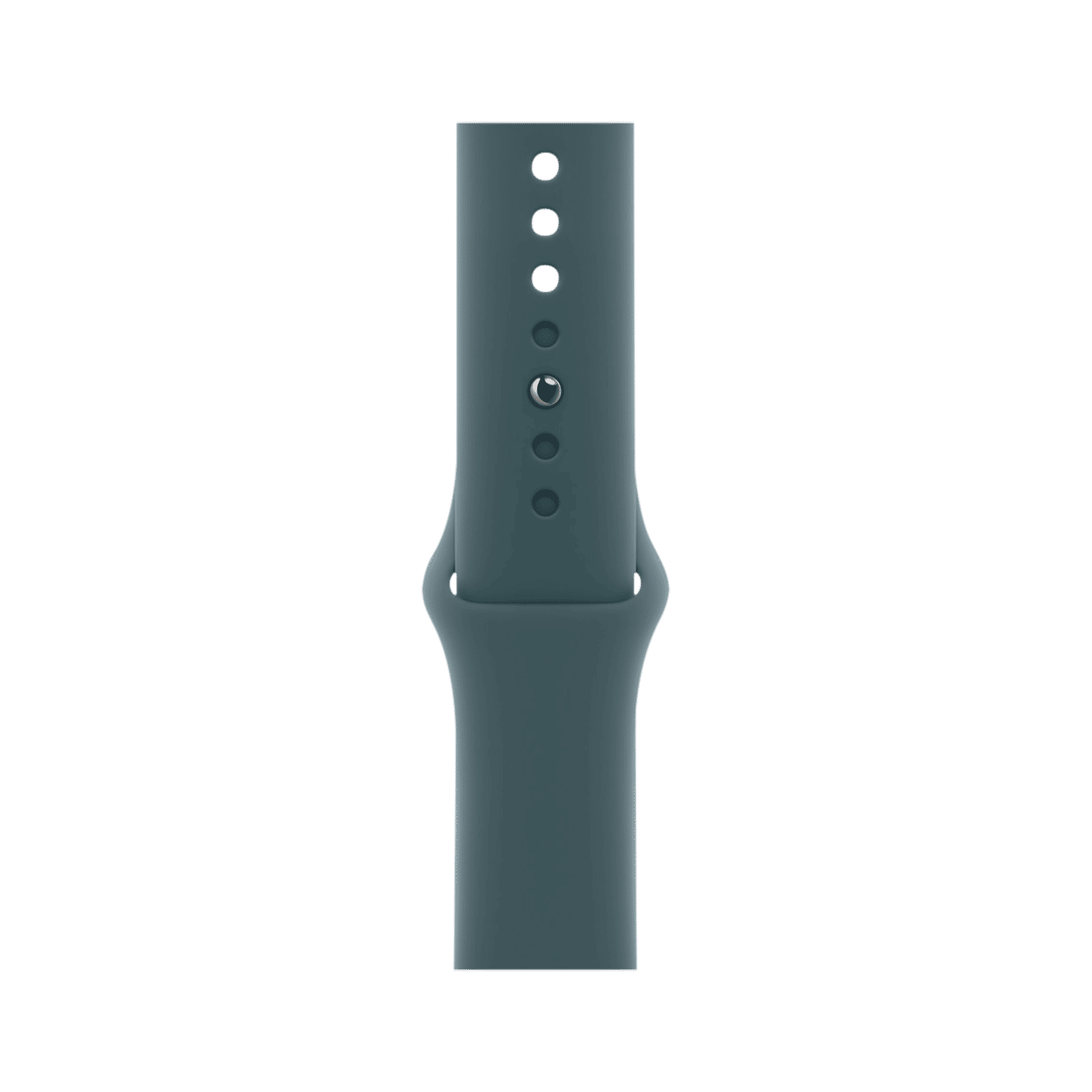 Apple Fluoroelastomer Sport Band for Apple Watch (44mm / 45mm / 46mm / 49mm, S/M) (Durable & Strong, Lake Green) Apple Fluoroelastomer Sport Band for Apple Watch (44mm / 45mm / 46mm / 49mm, S/M) (Durable & Strong, Lake Green)_1