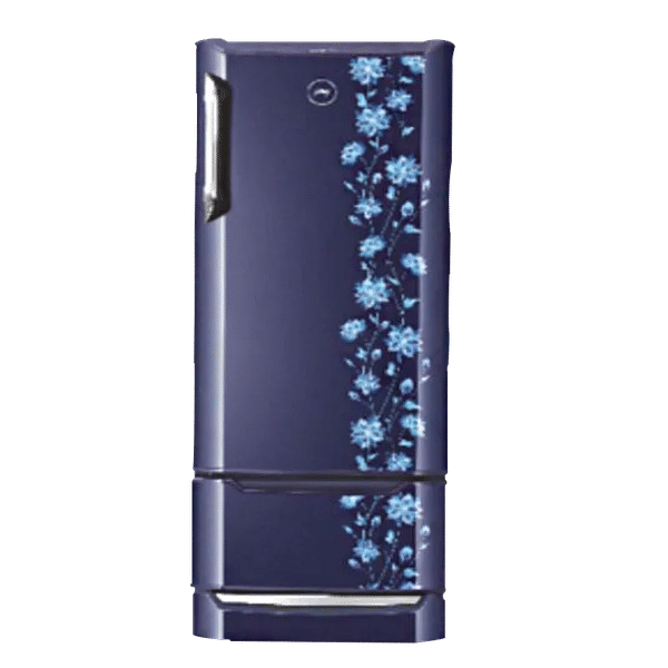 Godrej 255 L 4 Star Direct Cool Single Door Inverter Refrigerator (RD Edge Duo 255 PD, Erica Blue)_1