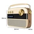SAREGAMA Carvaan 10W Portable Bluetooth Speaker (5000 Pre Loaded Songs, Stereo Channel, Champagne Gold)_2