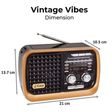 iGear Vintage Vibes 8 Watts MP3 Player (Rechargeable Battery, iG-1112, Black and Copper)_2