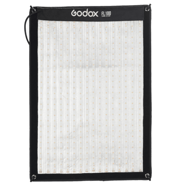Godox FL100 LED Light with Remote for Still Photography & Videography (Adjustable Light Brightness)_1