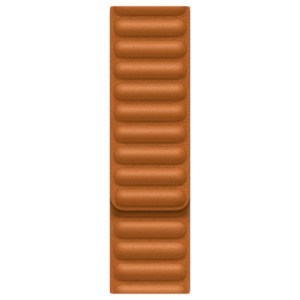 Buy Apple Leather Magnetic Strap for Apple Watch Series (38mm 40mm  41mm, M L) (Secure  Comfortable, Golden Brown) Online – Croma
