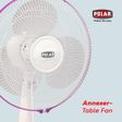 POLAR Annexer 40cm Sweep 3 Blade Table Fan (Thermal Overload Protection, ANNTF16NSM, Mauve)_2