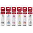 Canon Pixma GI 73 Pack of 6 Ink Bottle (4701C004AA, Multicolor)_1