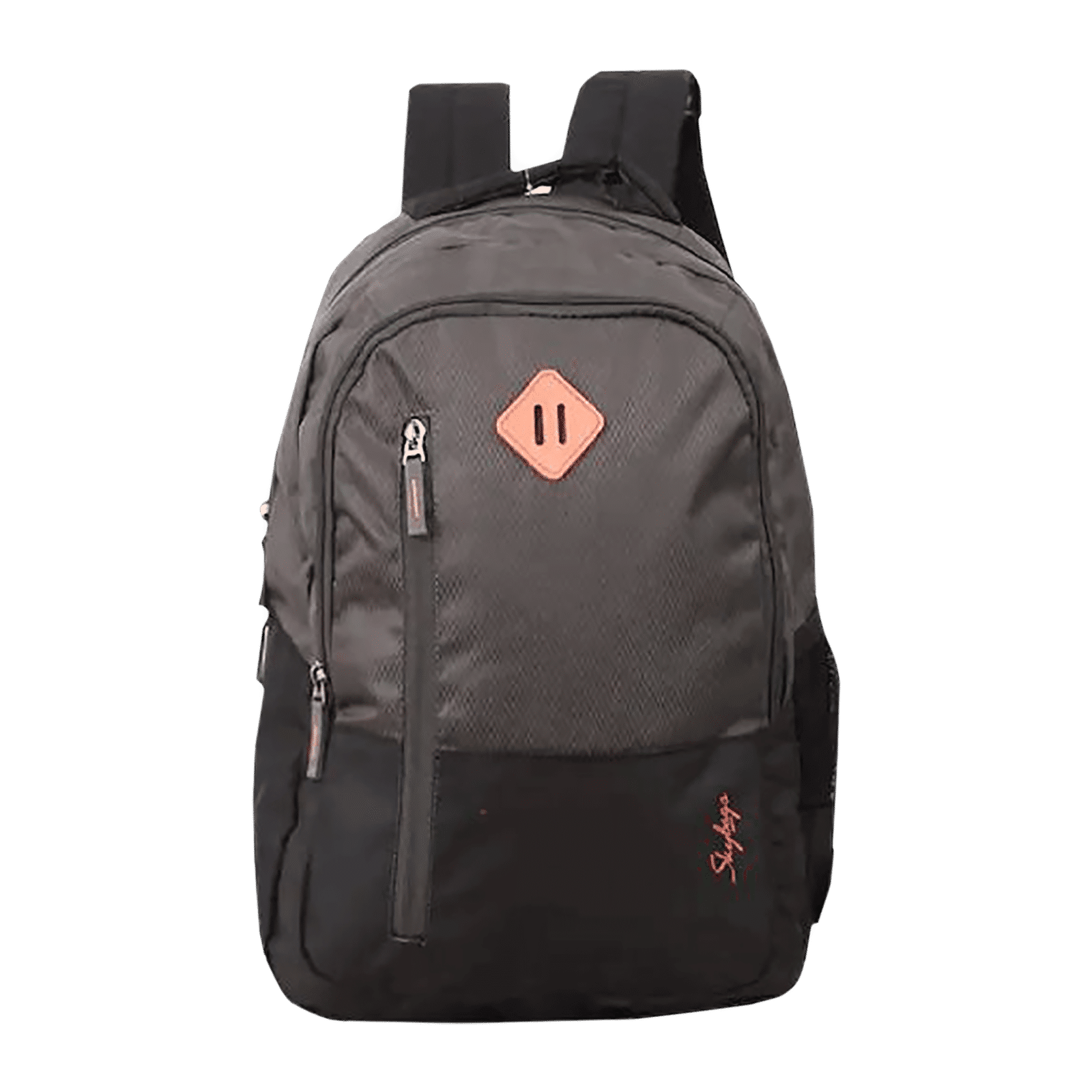 Skybags Polyester Skybag Laptop Backpack, Number Of Compartments: 4, Bag  Capacity: 30L at Rs 899 in Bhubaneswar