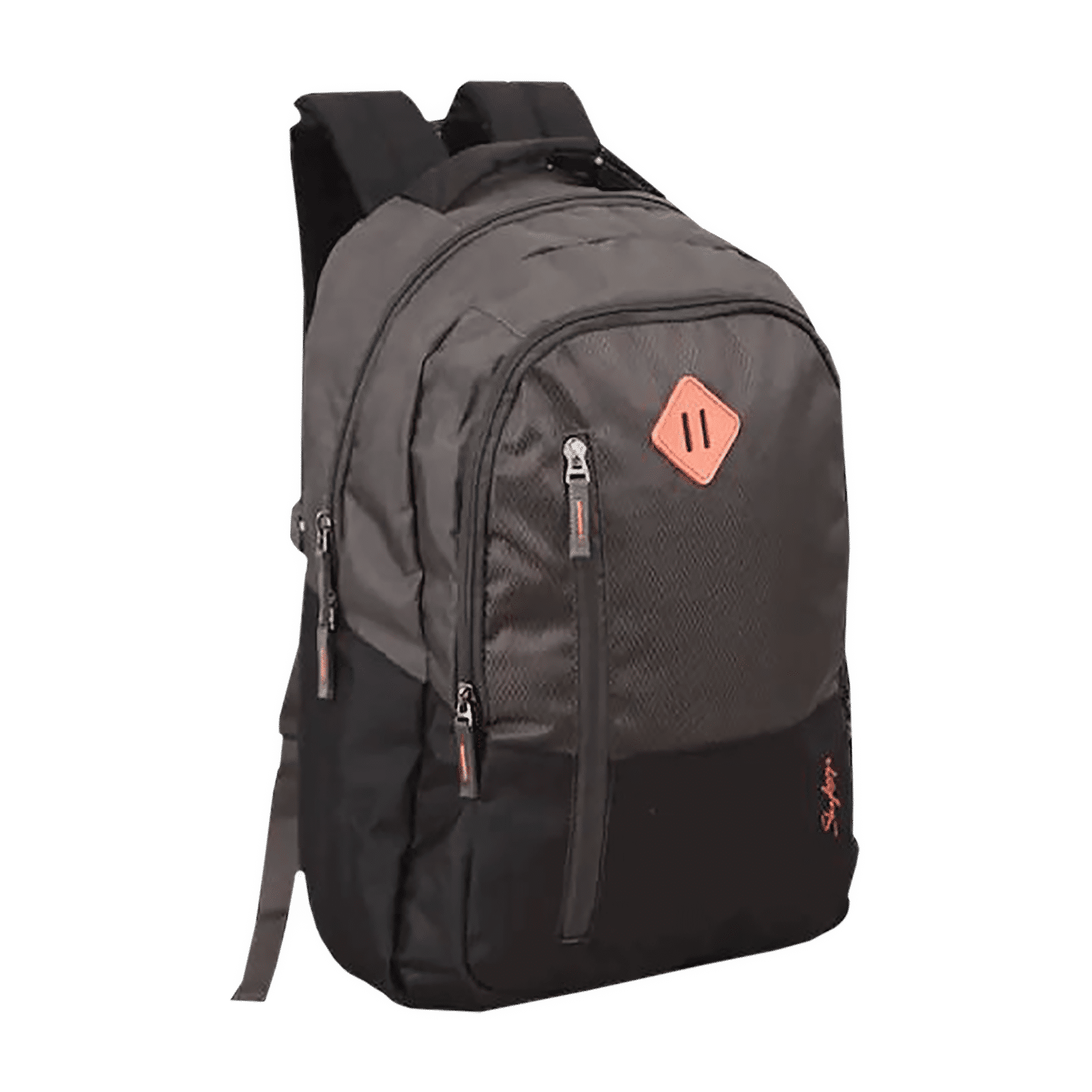 Buy Skybags Arthur Polyester Laptop Backpack for 15.4 Inch Laptop (30 L ...