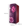 SAMSUNG 223 Litres 3 Star Direct Cool Single Door Refrigerator with Anti-Bacterial Gasket (RR24C2Y23CR/NL, Camellia Purple)_3