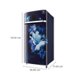 SAMSUNG 189 Litres 4 Star Direct Cool Single Door Refrigerator (RR21C2E24UZ/HL, Midnight Blossom Blue)_3