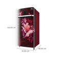 SAMSUNG 189 Litres 4 Star Direct Cool Single Door Refrigerator (RR21C2E24RZ/HL, Midnight Blossom Red)_3