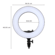 Godox LR180 Ring Light with Mobile Holder for Still Photography & Videography (180 LED Beads)_2