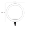 Digitek DWRS-003 Ring Light with Mobile Holder & Remote for Still Photography & Videography (Dimmable Lighting)_2