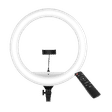 Digitek DWRS-003 Ring Light with Mobile Holder & Remote for Still Photography & Videography (Dimmable Lighting)_1