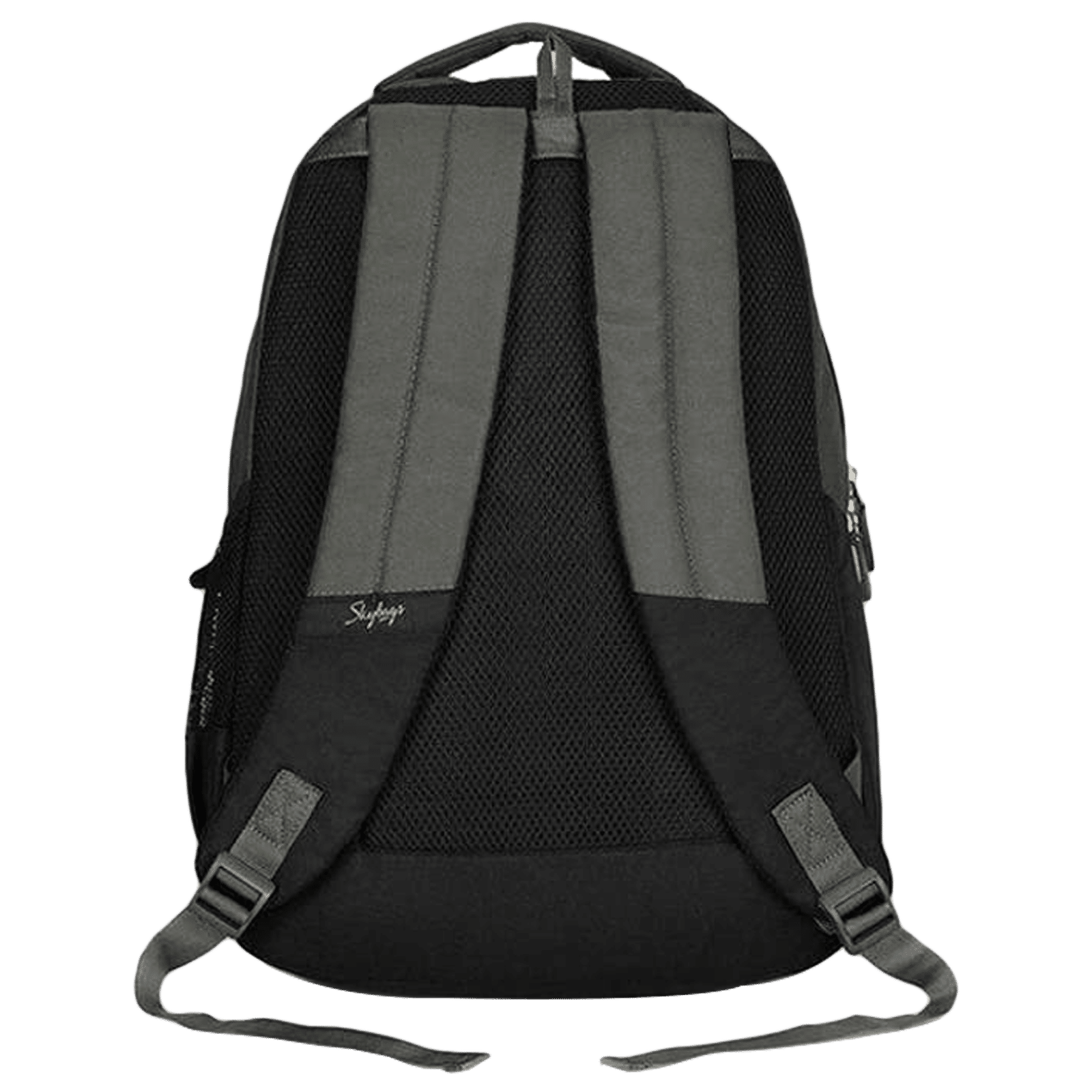 Buy Skybags Arthur Polyester Laptop Backpack for 15 Inch Laptop (30L ...
