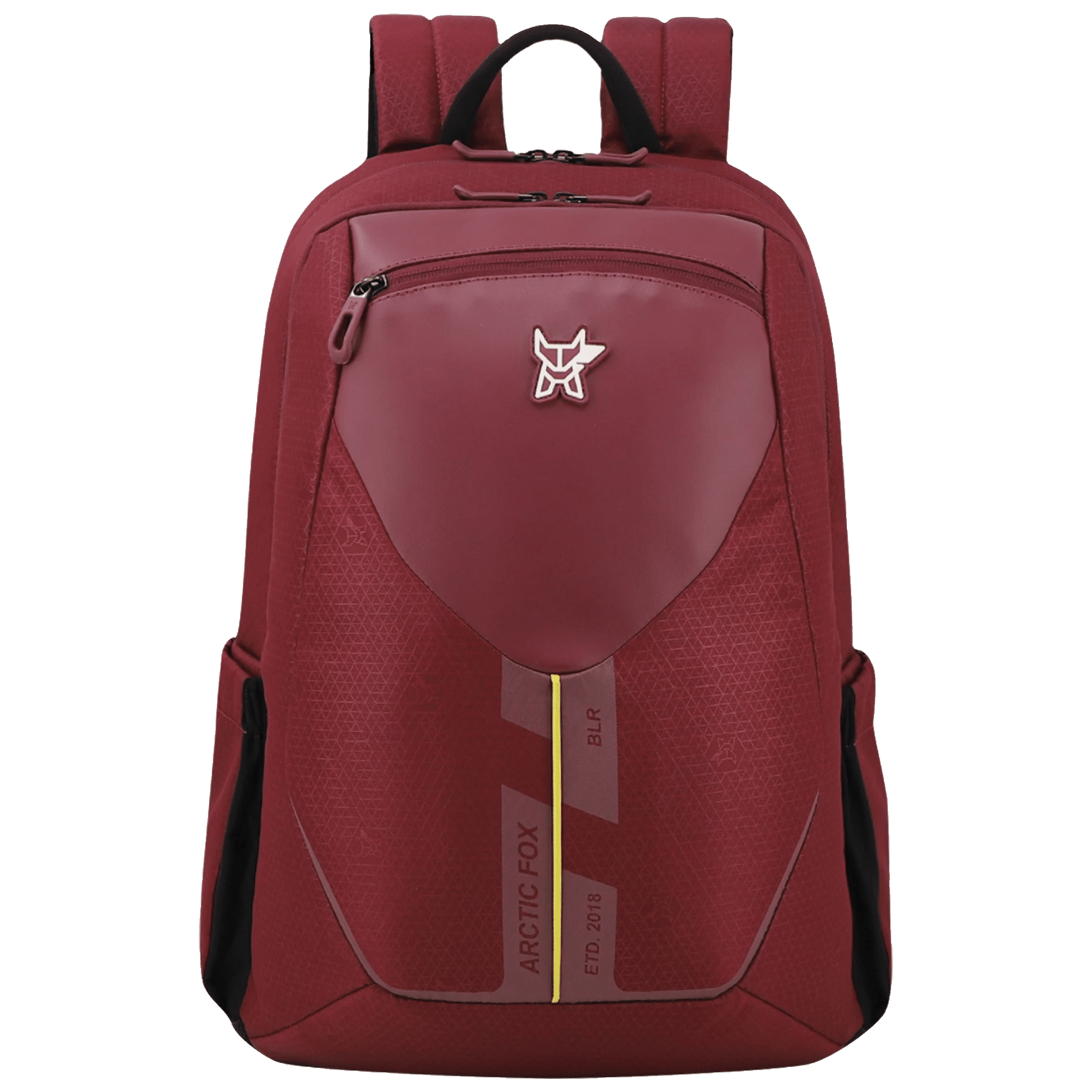 Buy Skybags Arthur Polyester Laptop Backpack for 15 Inch Laptop (30L,  Padded Shoulder Straps, Black) Online - Croma
