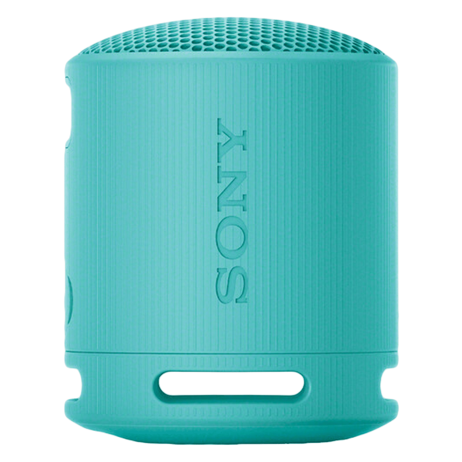 SONY SRS-XB100 2.5W Portable Bluetooth Speaker (IP67 Waterproof, DSP Technology, 1.0 Channel, Blue)