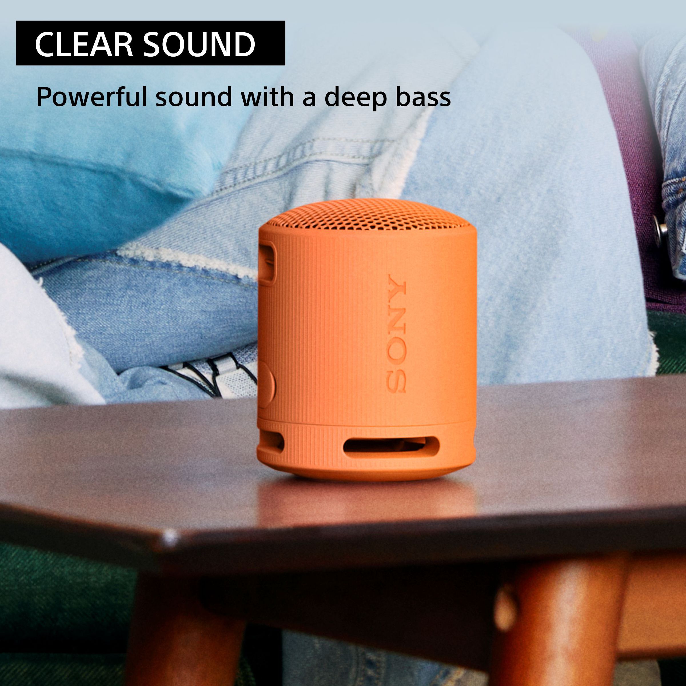 Buy SONY SRS-XB100 2.5W Portable Bluetooth Speaker (IP67 Waterproof ...