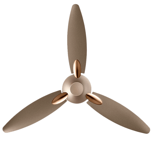 USHA Bloom Daffodil 125cm 3 Blades Ceiling Fan (With Copper Motor, Golden and Brown)_1