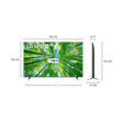 LG UQ8020 108 cm (43 inch) 4K Ultra HD WebOS TV with 2.0 Channel Speaker_2