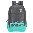 Skybags BFF 3 Polyester Laptop Backpack (28 L, Water Resistant, Grey)_1
