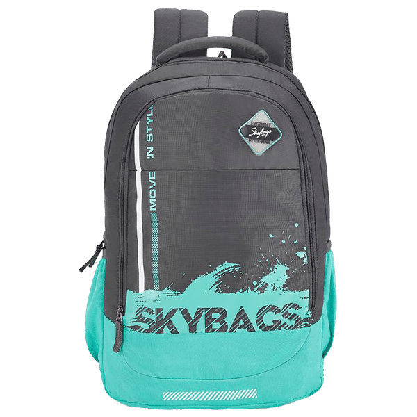 Skybags BFF 3 Polyester Laptop Backpack (28 L, Water Resistant, Grey)_1