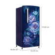 VOLTAS beko 173 Litres 3 Star Direct Cool Single Door Refrigerator with Reciprocating Compressor (RDC205C / S0PBE0M0, Peony Blue)_3