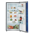 LIEBHERR 220 Litres 4 Star Direct Cool Single Door Refrigerator with Stabilizer Free Operation (DBL 2220, Blue Landscape)_4