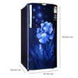 Godrej Edge Neo 192 Litres 3 Star Direct Cool Single Door Refrigerator with Anti Drip Chiller Technology (RD EDGE NEO 207C 33 THF, Aqua Blue)_3
