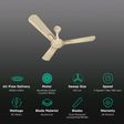 HAVELLS Bianca 5 Star 1200mm 3 Blade BLDC Motor Ceiling Fan with Remote (High Air Thrust, Gold Mist)_3