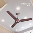 HAVELLS Efficiencia Neo 5 Star 1200mm 3 Blade BLDC Motor Ceiling Fan with Remote (High Speed, Brown)_4