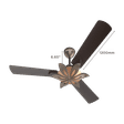 BAJAJ Floweret EE 1 Star 1200mm 3 Blade Anti Bacterial Ceiling Fan (Easy to Clean, Chocolate Brown)_2