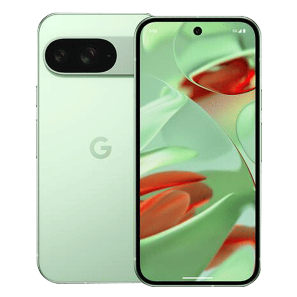 Google Pixel 9 5G (12GB RAM, 256GB, Wintergreen)