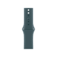 Apple Fluoroelastomer Sport Band for Apple (38mm / 40mm / 41mm / 42mm, M / L) (Durable & Strong, Lake Green)_1