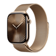 Apple Milanese Stainless Steel Magnetic Loop for Apple (44mm / 45mm / 46mm / 49mm, M / L) (Physical Vapour Deposition Layer, Gold)_2