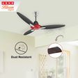 USHA Bloom Daffodil 1250mm 3 Blade Copper Motor Ceiling Fan (Noiseless Operation, Sparkle Red & Black)_3